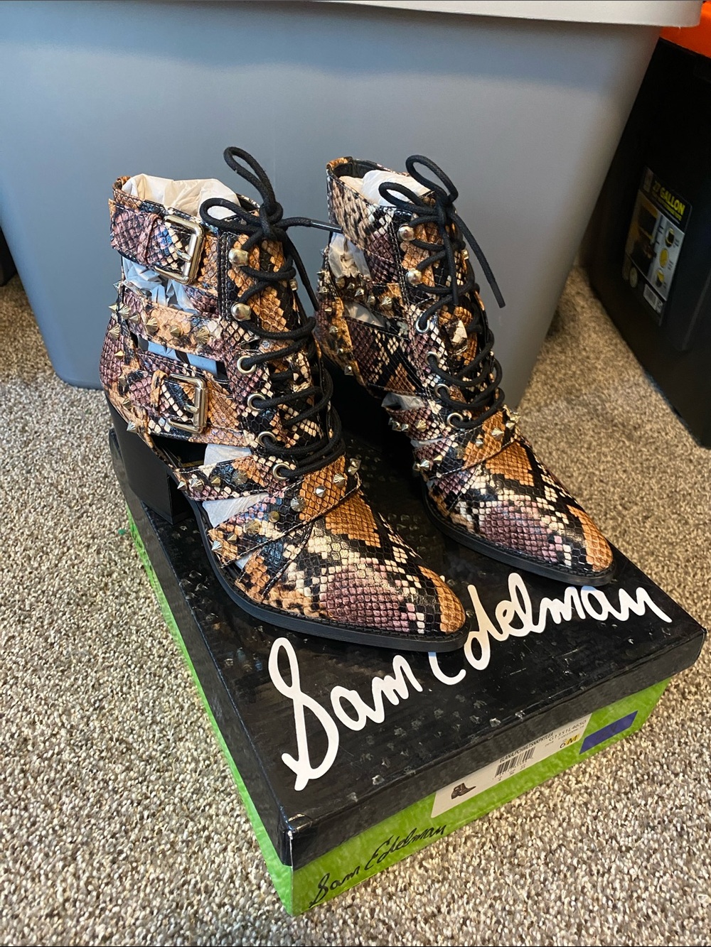 Sam Edelman Multicolor Snakeskin Lace-Up Combat Boots